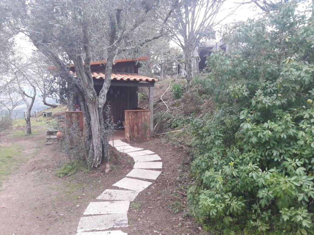Cabana Da Oliveira Marco de Canavezes Exterior foto